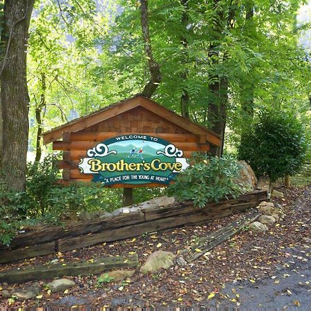 Bear Crossing #6 Villa Sevierville Bagian luar foto