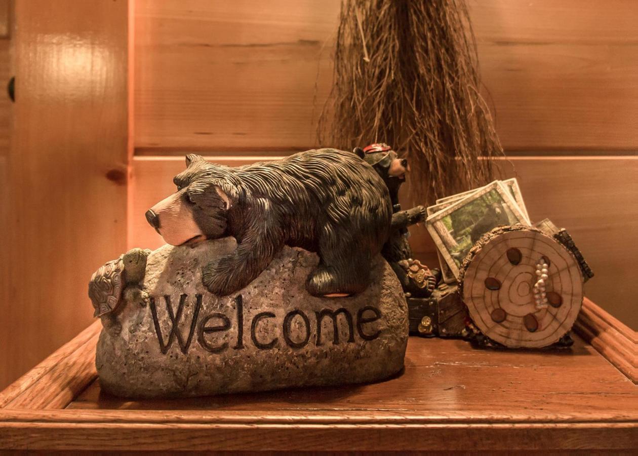 Bear Crossing #6 Villa Sevierville Bagian luar foto